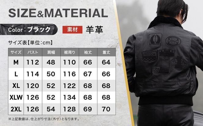 【デグナー】ヴィンテージフライトレザージャケット[16WJ-10C] Lサイズ｜京都 バイクギア 人気ブランド ジャケット バイク［ 大人のための本革ライダース プロテクター デザイン性 着心地 実用性 日常使い ツーリング ライダー バイカー アウトドア おしゃれ かっこいい 人気 おすすめ 送料無料 ふるさと納税 ］ 261009_A-JR195VC02