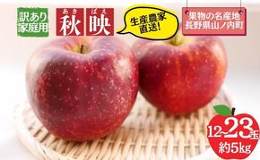 【2026年10月発送】秋映 訳あり家庭用 約5kg 12～23玉 りんご 果物 訳あり 信州 長野