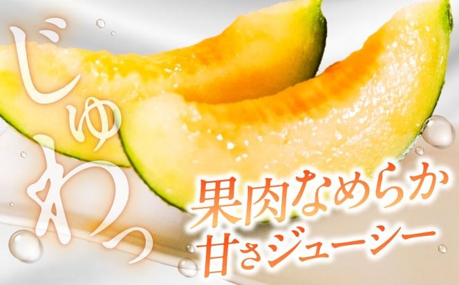 【2026年7月下旬～発送】アールスメロン 2玉 約3.2kg / メロン めろん 果物 フルーツ / 南島原市 / うえだメロン園[SAD011]