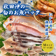 にかほ市の漁師厳選！秋田沖の旬のお魚パック！（Mサイズ・3～4人前） 魚介類 直送 新鮮 詰め合わせ 