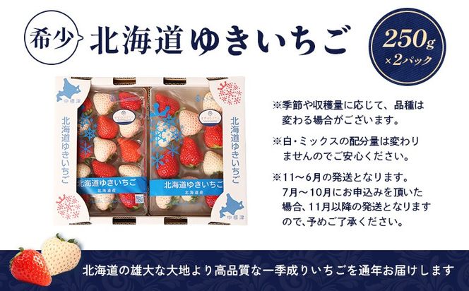 【受注後、随時発送！】【北海道産】ゆきいちご（ゆきぼたん/紅ほっぺ）赤白MIX×2Pセット 250g×2 計500g 苺 白いちご 一季成りイチゴ 希少 ギフト お取り寄せ ふるさと納税 北海道 中標津【59003】