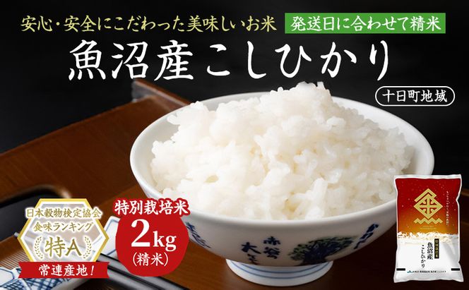 特別栽培米 魚沼産こしひかり(十日町地域) 精米 2kg 米 お米 コシヒカリ 十日町市