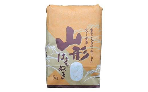 FYN6-420 令和7年度 山形県産 はえぬき 10kg(5kg×2) 精米 白米 米 こめ ライス ごはん ご飯 ブランド米 銘柄米 家庭用 自宅用 贈答用 お取り寄せ 食品 2025年 西川町 月山