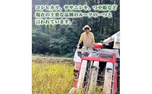 【射水の美味しいお米】【自然栽培農法】自然栽培農家 marufarm 自然栽培米「亀の尾」2kg ※離島への配送不可