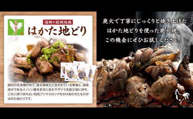 【A4-043】はかた地どり炭火焼きセット500g