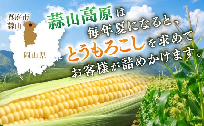 【先行予約】 朝採れ 蒜山高原 とうもろこし ミックス20本 | 7月下旬～8月上旬頃出荷予定 数量限定 人気 朝採り 新鮮 スイートコーン トウモロコシ 高糖度 甘い 夏野菜 岡山県 真庭市 産地直送 ギフト 【配送不可地域：北海道／沖縄県／離島】【jujy004-02】
