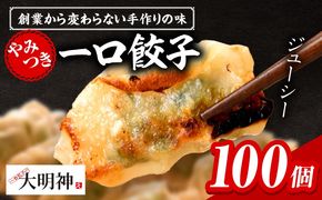 一口餃子 100 個入りタレ２個_kn107-002