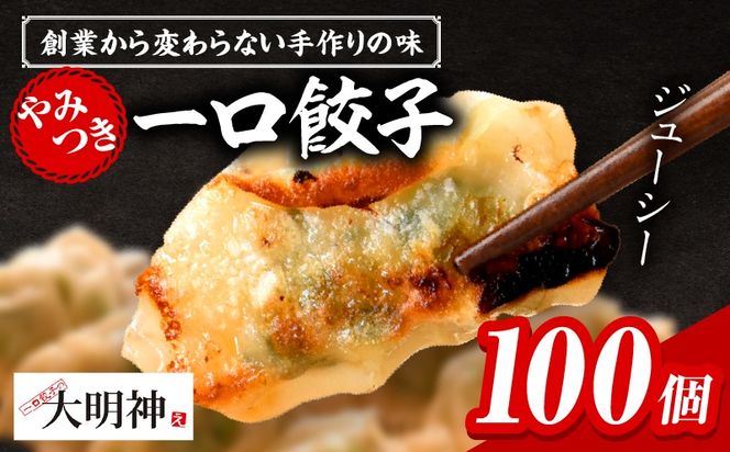 一口餃子 100 個入りタレ２個_kn107-002