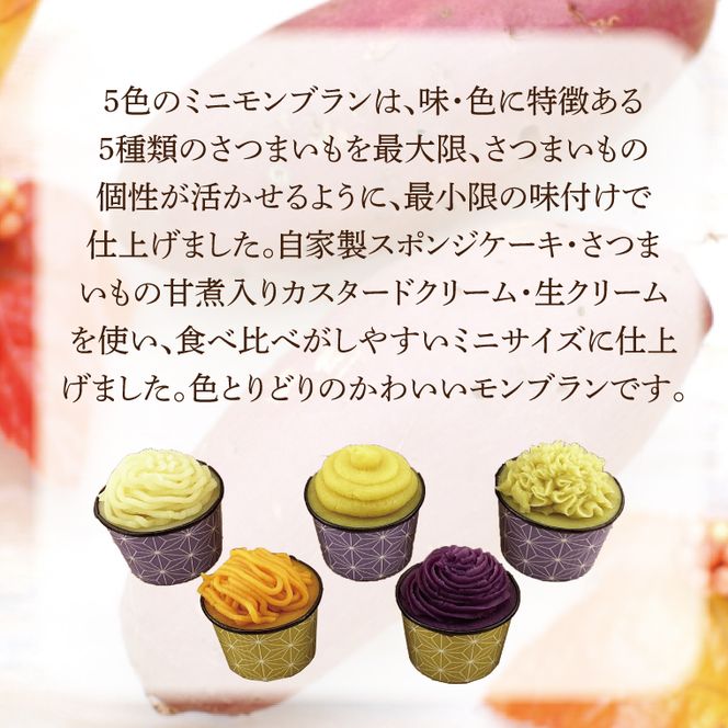 EI-3　焼き菓子・5色のミニモンブラン・行方産焼き芋２倍セット