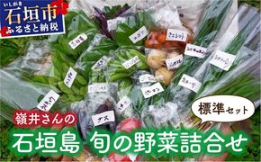 嶺井さんの石垣島旬の野菜詰合せ（標準セット）OI-22