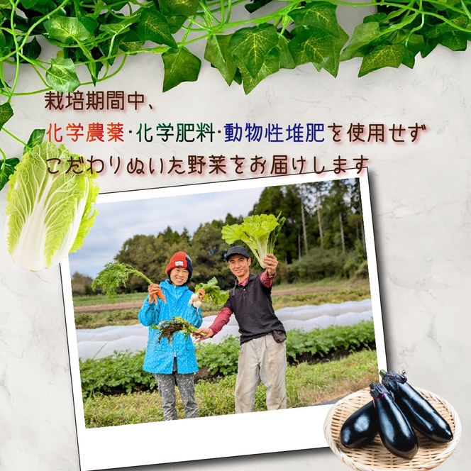 【定期便 全3回】季節の野菜詰め合わせセット（新鮮 採れたて 野菜 セット 定期便 詰め合わせ 宮崎県）