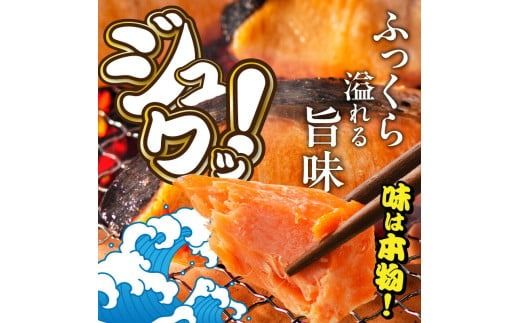 銀鮭切身 訳あり　バラ詰め1.5kg_HD231-005