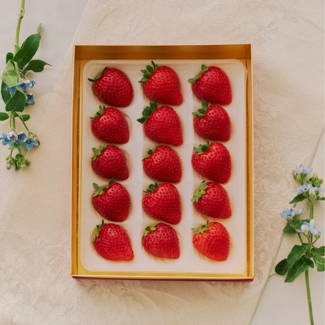 完熟オーガニックとちあいか 15粒または18粒 ※2025年12月中旬～2026年4月中旬頃に順次発送予定