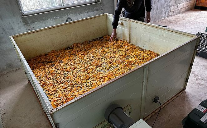 健康食品 ウコン sp　2袋(1粒330mg×200粒) 秋ウコン 紫ウコン 熱帯ウコン 春ウコン 大宜味村 サプリメント 2袋 健康食品 沖縄県 国産 自然 錠剤 秋山錠剤 うこん ウコン 加工品 加工食品 ウコンsp 送料無料 ふるさと納税