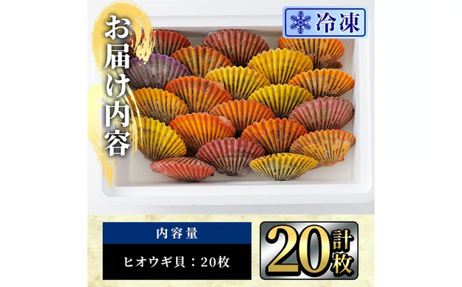 冷凍 ヒオウギ貝 (計20枚) 魚介 貝 ヒオウギ貝 ひおうぎ貝 酒蒸し 網焼き バター焼き バーベキュー 獲れたて 海の直売所 大分県 佐伯市【AS152】【海べ】