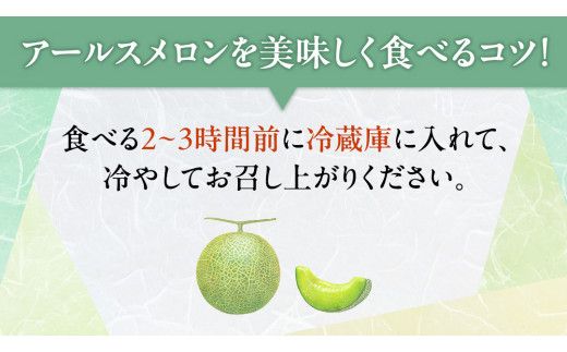 【 先行予約 】茨城県産 アールスメロン 秀品 3L サイズ × 2玉 入り 【 2026年8月下旬から発送 】 おすすめ JA全農いばらき JA メロン めろん ふるさと納税 フルーツ 予約 マスクメロン くだもの 果物 国産旬 定番 旬 期間限定 青肉 果物