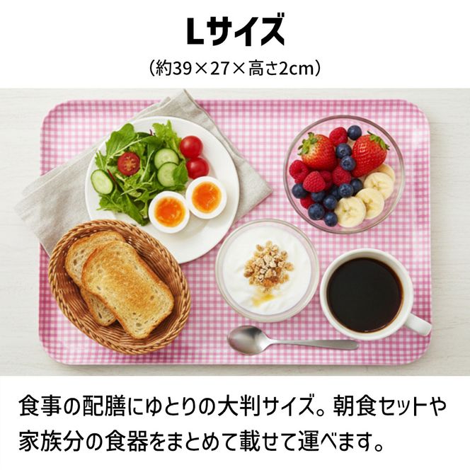 TATSU-CRAFT マグネットトレー L 39cm チェック BL ブルー すべり止め付き ［Tk1114］ 303446_DA90834VC01