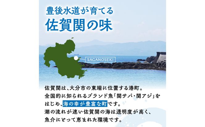 【E22027】関のたい茶漬け藻なかセット（12食分）