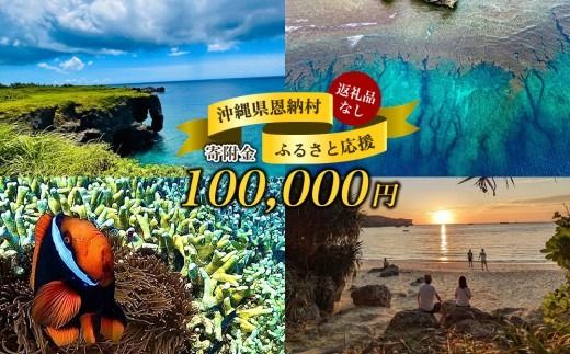 【返礼品なし】沖縄県恩納村ふるさと応援寄附金 100000円