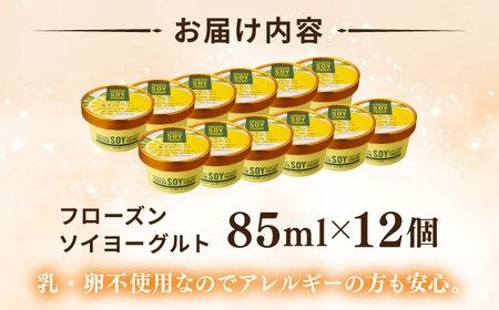 【乳・卵不使用】豆腐屋のフローズンソイヨーグルト ゆず風味 12個 糸島市 / 高取食品 ヨーグルト アイス ジェラート[AHG012] アイスクリームジェラート アイスクリームアイス アイスクリーム豆乳 アイスクリーム卵不使用 アイスクリーム乳不使用 アイスクリームヨーグルト アイスクリームフローズン アイスクリーム豆 アイスクリームソイ アイスクリームゆず