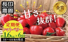 【先行受付】2027年1月～6月毎月発送　幻のミニトマト　トマトベリーの定期便　6回コース 野菜ソムリエサミット 金賞 受賞 長田農園 産地直送 トマト とまと 野菜 やさい フルーツ サラダ 濃厚 甘い ご褒美 プレゼント 美容 健康 リピート多数 人気 高評価 数量限定 碧南市 H004-231