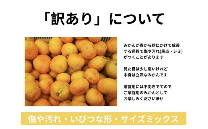 【訳あり】有田みかん 約3kg 家庭用  EY001