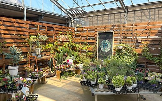 【旬のお野菜8品目】ウカマルシェ　セレクト野菜BOX　※離島への配送不可