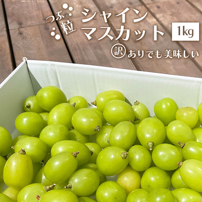 【2026年発送★先行予約】【訳あり】 シャインマスカット 粒 1kg以上 154-033-26y