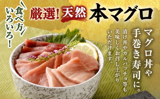 厳選天然本マグロ中トロ・赤身食べきりセット【４００ｇ】　ge010