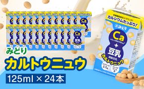 【I07014】カルトウニュウ 125ml 2ケース（24本入り）