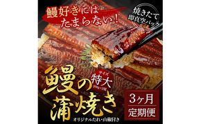 【CF-R7hbk】t120kgp　《3ヵ月定期便》人気惣菜 本気の高知ブランド鰻「西岡うなぎ」～特上（特大サイズ）～うなぎの蒲焼き2尾セット（約400g）タレ・山椒付き｜ウナギ 国産 特産品 鰻の蒲焼き 高知県産 土佐 グルメ 蒲焼 焼きたて 丼 うな重 ひつまぶし〈田野町共通返礼品〉
