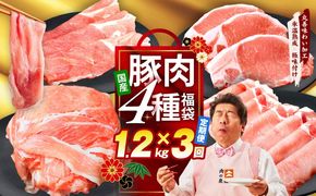 mrzZ001 【定期便】国産 豚肉 4種 総量 1.2kg×3回【氷温熟成×極味付け 300g×4P 小分け ぶたにく 普段使い 野菜炒め】
