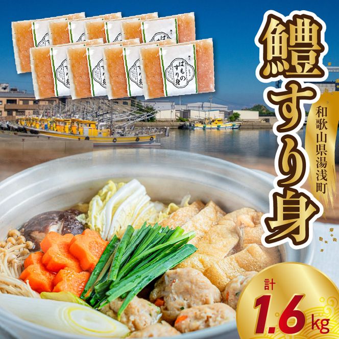 SD1004_鱧すり身 200g × 8個 高級魚 鱧 漁港直送 その日に加工 真空冷凍 鮮度 キープ すり身 鍋 ハンバーグ つみれ汁 高級料亭 気分 味わえる 自宅 簡単 出来立て さつま揚げ 冷凍 お取り寄せ 和歌山県 湯浅町 送料無料