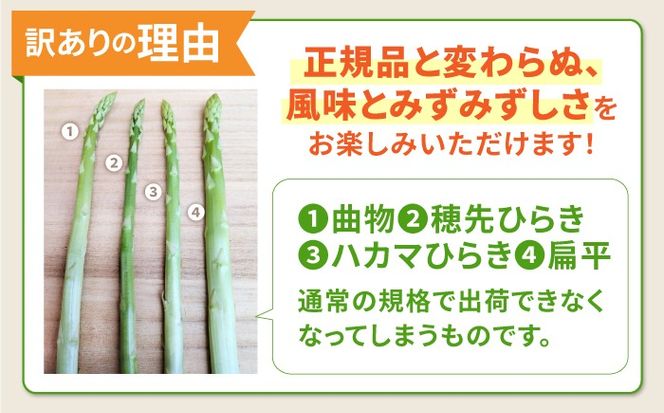 【2026年5月下旬～発送】【数量限定】【訳あり】甘い！柔らかい！【星のアスパラ】厳選 グリーン アスパラガス 1kg / アスパラ あすぱら 厳選 あすぱらがす 採れたて 新鮮 旬 産地直送 野菜 訳あり L・M・Sサイズ ミックス / 南島原市 / ほしのYA [SEY021]