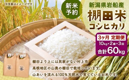 【新米受付・令和8年産米】【定期便：3ヶ月連続でお届け】新潟県村上市岩船産 棚田米コシヒカリ 20kg×3ヶ月　1011011N　定期便 毎月 新米予約 お米 白米 こしひかり 精米 村上市