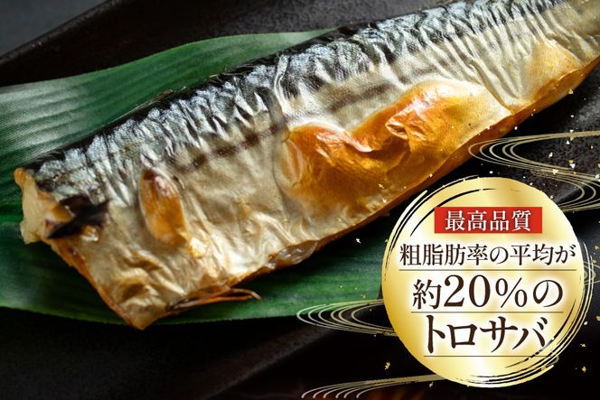 【CF03】訳あり 塩サバ フィレ 3kg [足利本店 宮城県 気仙沼市 20564146] 魚介類 魚 海鮮 大容量 サバ さば 鯖 サバフィレ サバフィーレ 鯖フィレ トロサバ 訳アリ 訳あり わけあり 切り身 冷凍