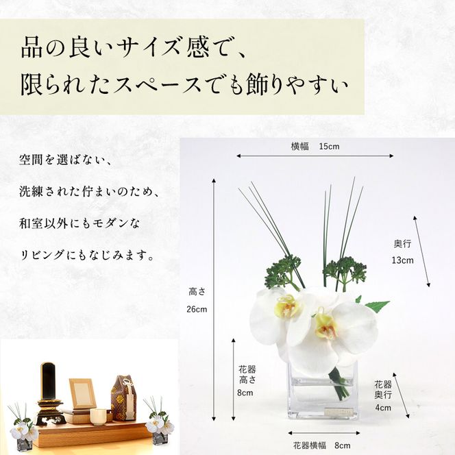 エミリオロバ　仏花セットC　ファレノプシスXS 2個セット