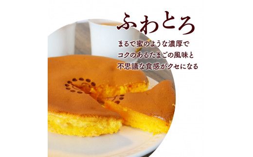 【CF-R7hbk】TKA016　じゅわっと半熟たまごカステラ もっちりとろける食感と、コクのあるたまごの風味がクセになる半熟卵カステラ 2個入り 個包装 高知 返礼品 スイーツ 人気 お土産 お取り寄せ 冷凍 高級 お菓子 ギフト かわいい おしゃれ 玉子カステラ 贈答品 贈り物