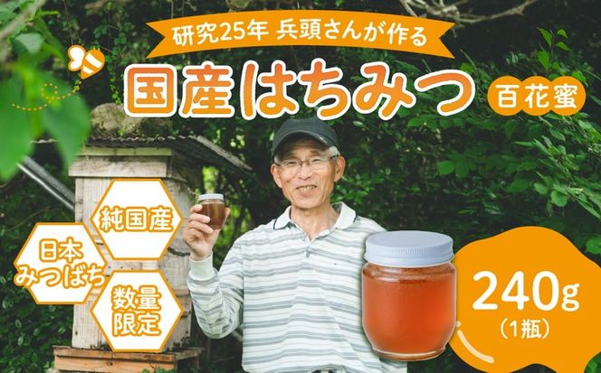 兵頭さん家の国産はちみつ 1瓶（240g 180cc） ｜ 国産 百花蜜 蜂蜜 ハチミツ 深山ミツバチ 研究25年 日本ミツバチ ※離島への配送不可