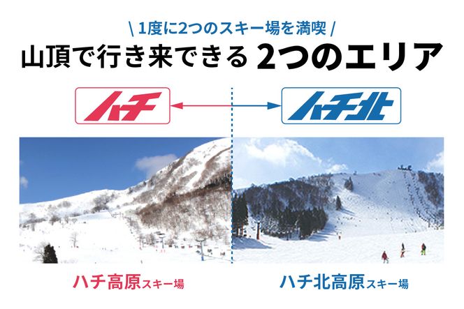【ハチ北スキー場 リフト 1日券】（こども用 小学生以下）1枚 【令和8年11月中旬以降発送予定】 ハチ高原 ハチ北高原 共通リフト券 関西最大級 スキー場 抜群の展望 4000m ロングコース 25コース 有効期限 2026/27シーズン終了まで ハチ高原スキー場との共通券 兵庫県 香美町 村岡 ハチ北スキー場 26-02