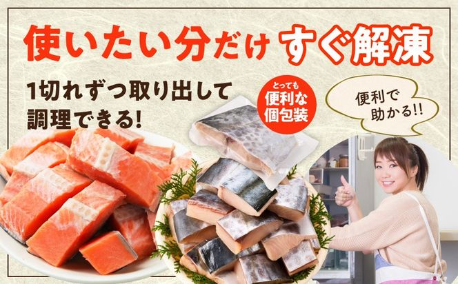 G3801 【お弁当サイズ】さわら&銀鮭 切身 計20切れ（各約50g×10切れ） 【小分け 漁師 さけ サケ 手切り  泉州 鰆 切り身 弁当 朝食 時短 訳あり サイズ不揃い 規格外 冷凍食品 】