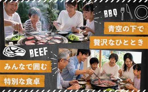 【近江牛　毛利志満】近江牛焼肉3点盛セット　【450ｇ】【S034W】（国産牛　和牛　ブランド牛　ブランド和牛　黒毛和牛　牛肉　肉　高級　人気　おすすめ　神戸牛　松阪牛 に並ぶ 日本三大和牛 近江牛）