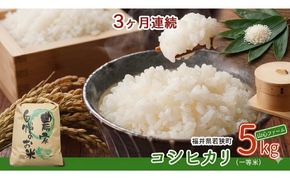 【3ヶ月連続】令和8年産福井県若狭町コシヒカリ（一等米）5kg（山心ファーム） お米 福井県産 甘い