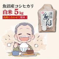 令和８年産新米　魚沼産コシヒカリ 精米５kg