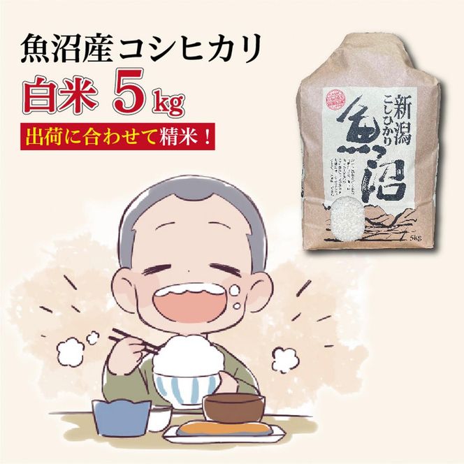 令和８年産新米　魚沼産コシヒカリ 精米５kg