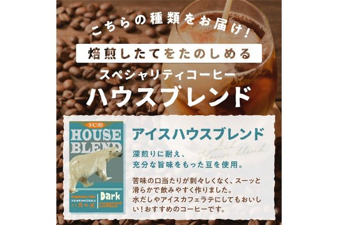 【アイスコーヒー用】自家焙煎アイスコーヒー用ブレンドコーヒー豆 500g（250g×2） 八月の犬ハウスブレンド 約50杯分　小分け　豆・粉 選べる　HA00014