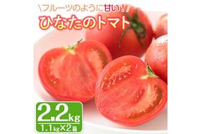 ＜先行予約受付中！2027年1～5月の間に発送予定＞ひなたのとまと(計2.2kg・1.1kg×2箱)トマト フルーツトマト 糖度 9度 以上 野菜 旬野菜 冷蔵 門川町産 宮崎県 門川町【A-3】【株式会社 新門トマト農園】