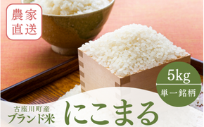 秘境の地からお届けする あゆみファームのお米 にこまる 5kg 令和７年産【10月下旬頃から順次発送】/ 米 お米 にこまる 5kg 精米 和歌山【aym013】