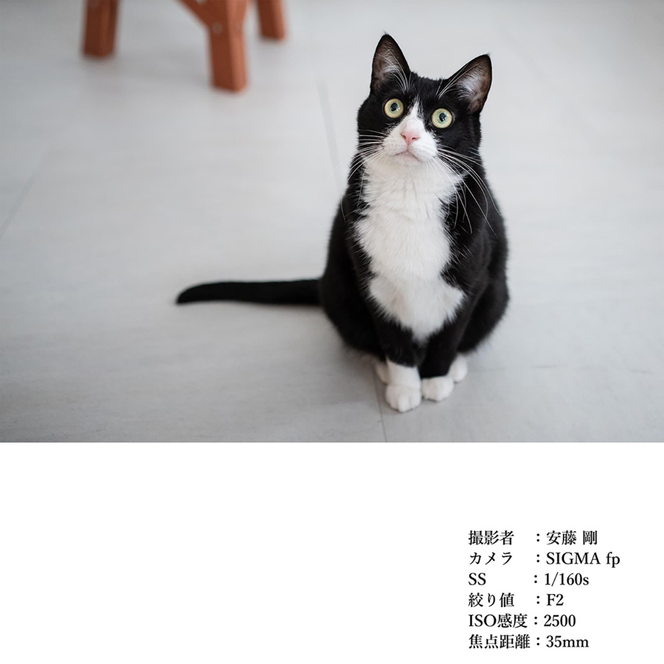 SIGMA 35mm F2 DG | Contemporary【Lマウント】（シルバー）