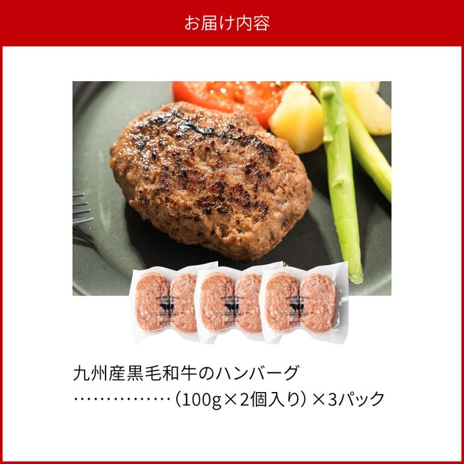 九州産黒毛和牛のハンバーグ(100g×2個入り)×3パック N0105-YA0303